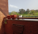 Terraza Terraza